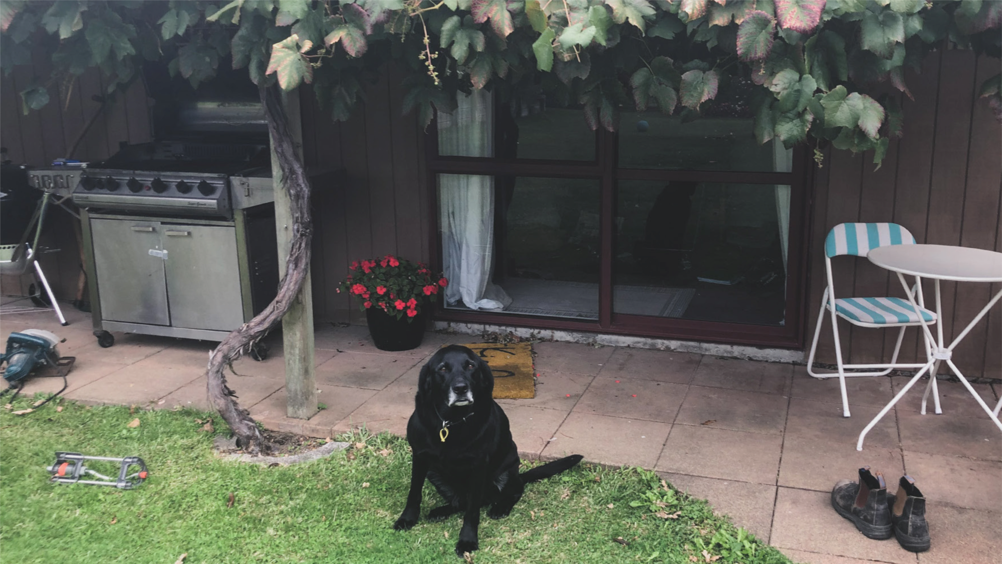 Letter From The Editor - Issue 5