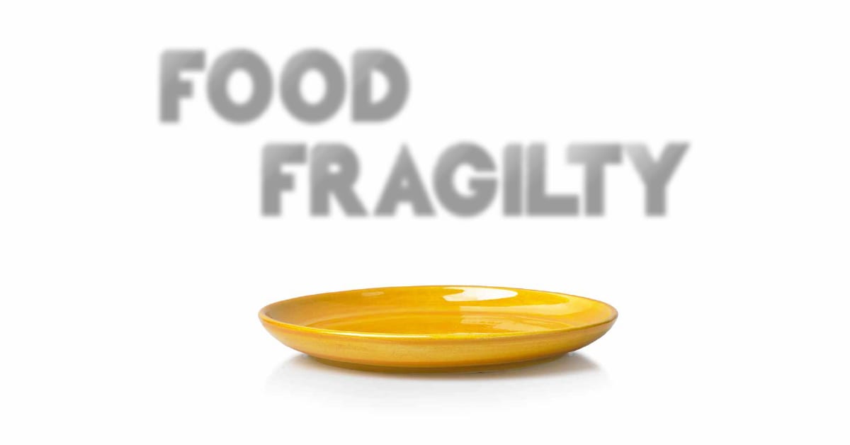 Food Fragility - Issue 4