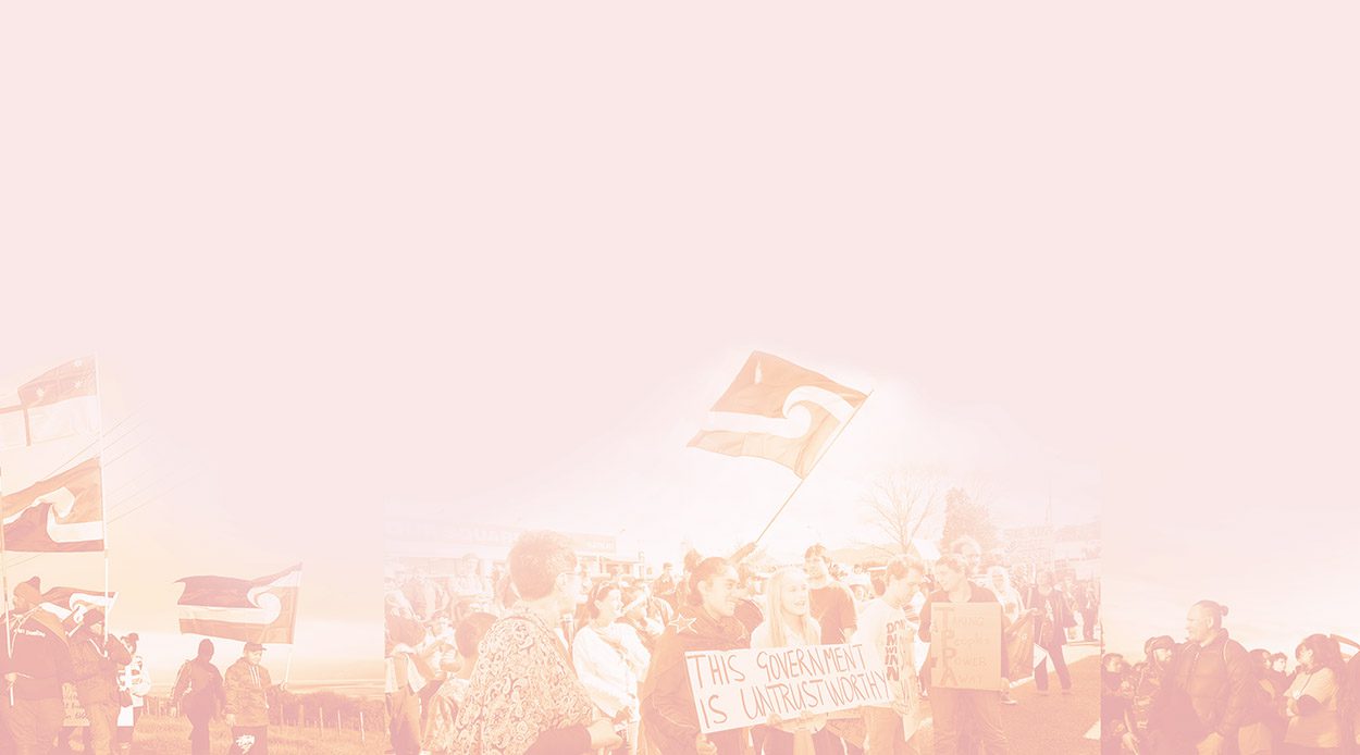 Kāore Te Throwing Bricks