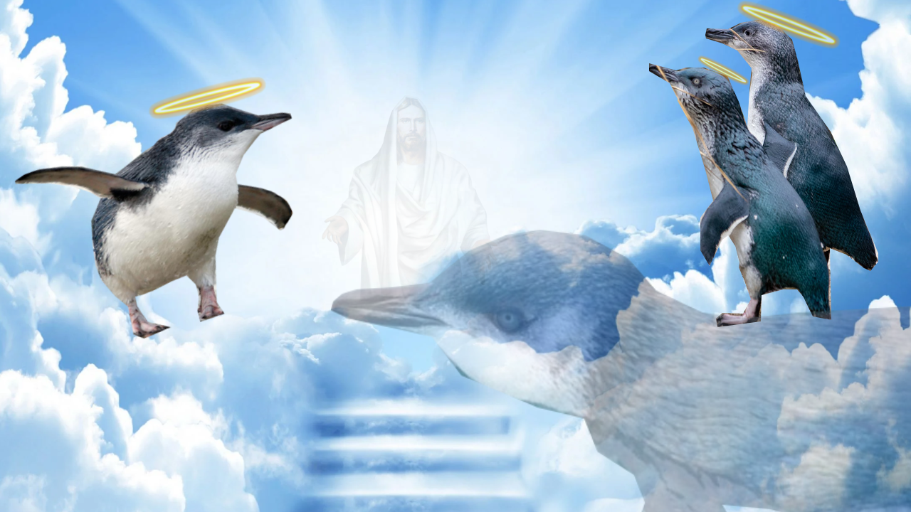 Small Town Short News - 6 July