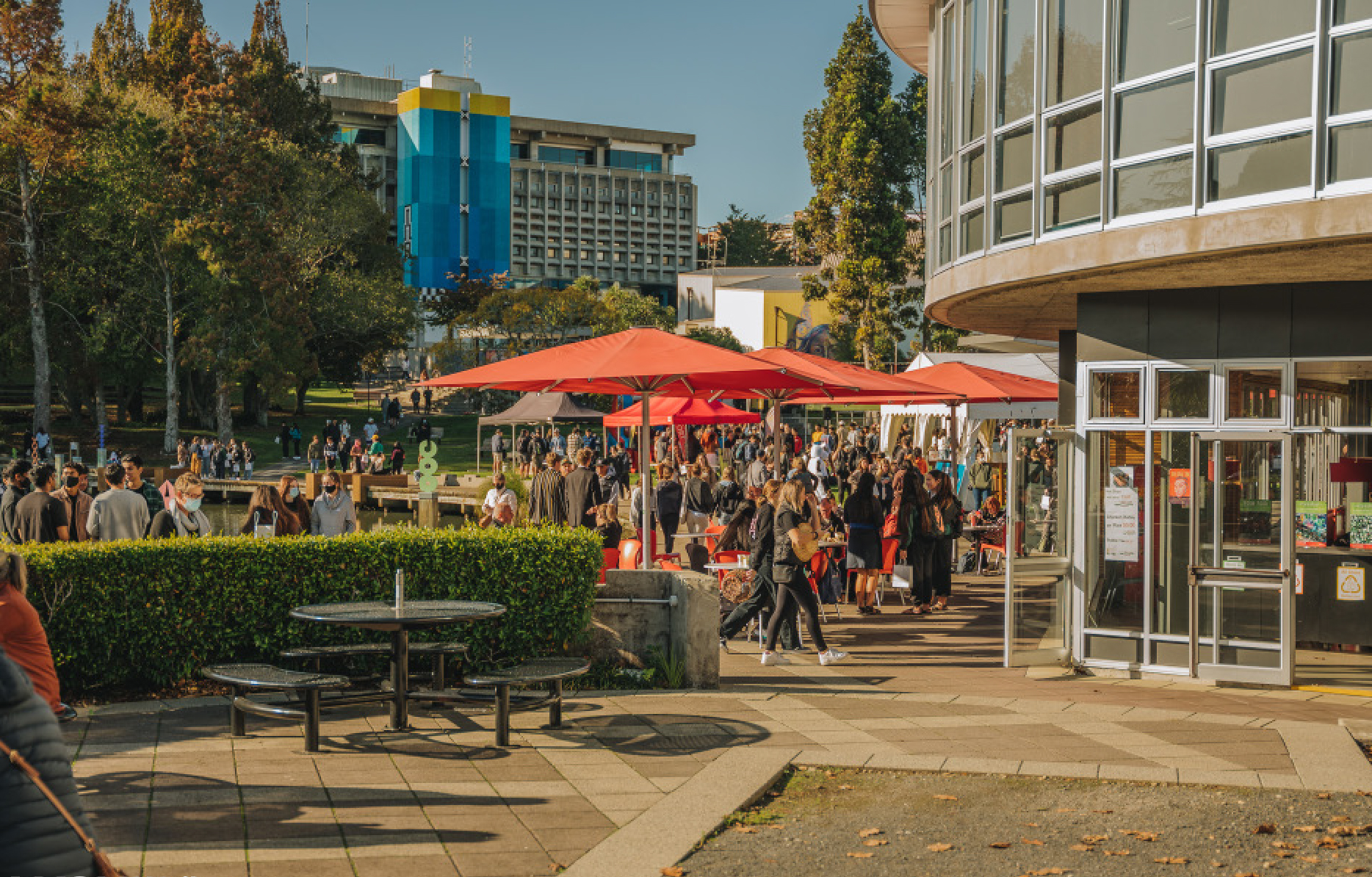 Your guide to the WSU